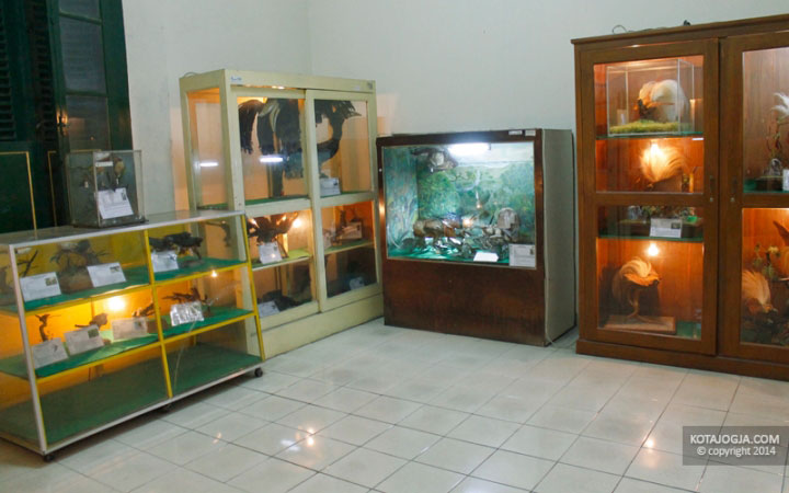 Museum Biologi UGM