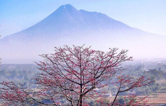 Cantiknya Merapi Bak Fujiyama