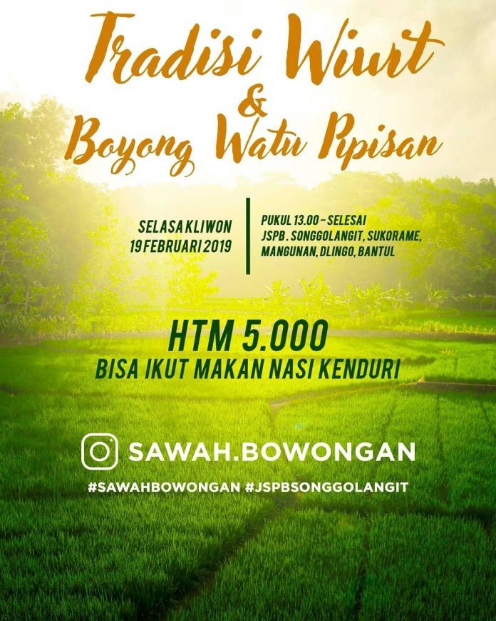 Tradisi Wiwit & Boyong Watu Pipisan 