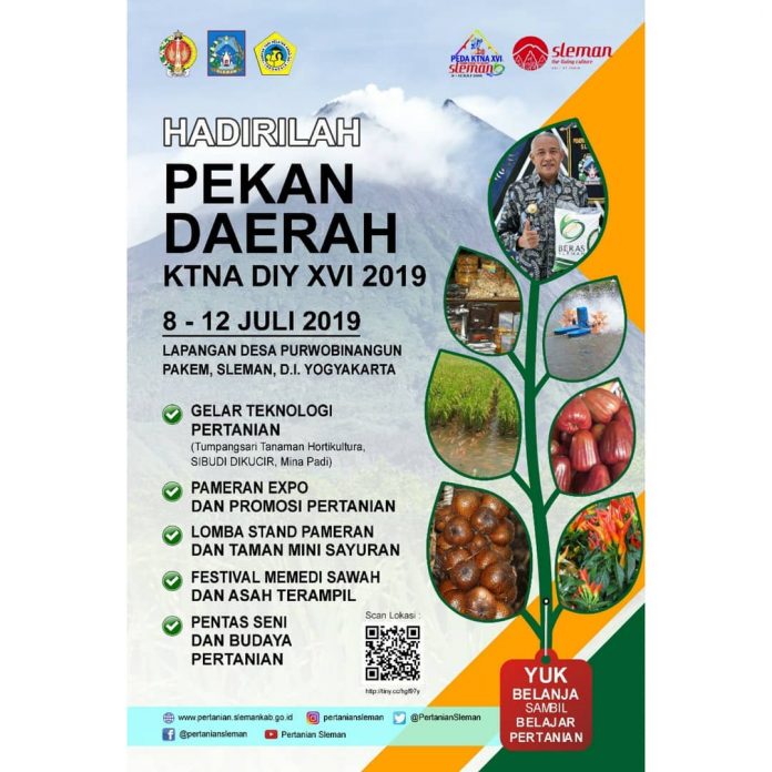 Pekan Daerah